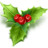 Mistletoe Icon